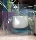 CD-R sleeves clear x 100 pack