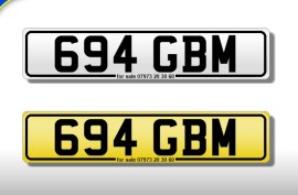 694 GBM